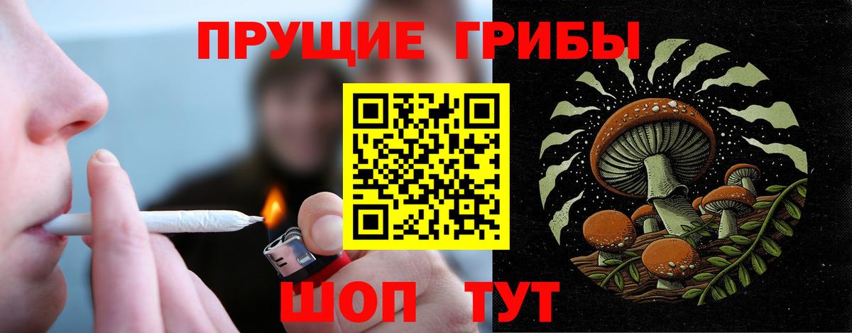 Псилоцибиновые грибы прущие грибы Чебаркуль